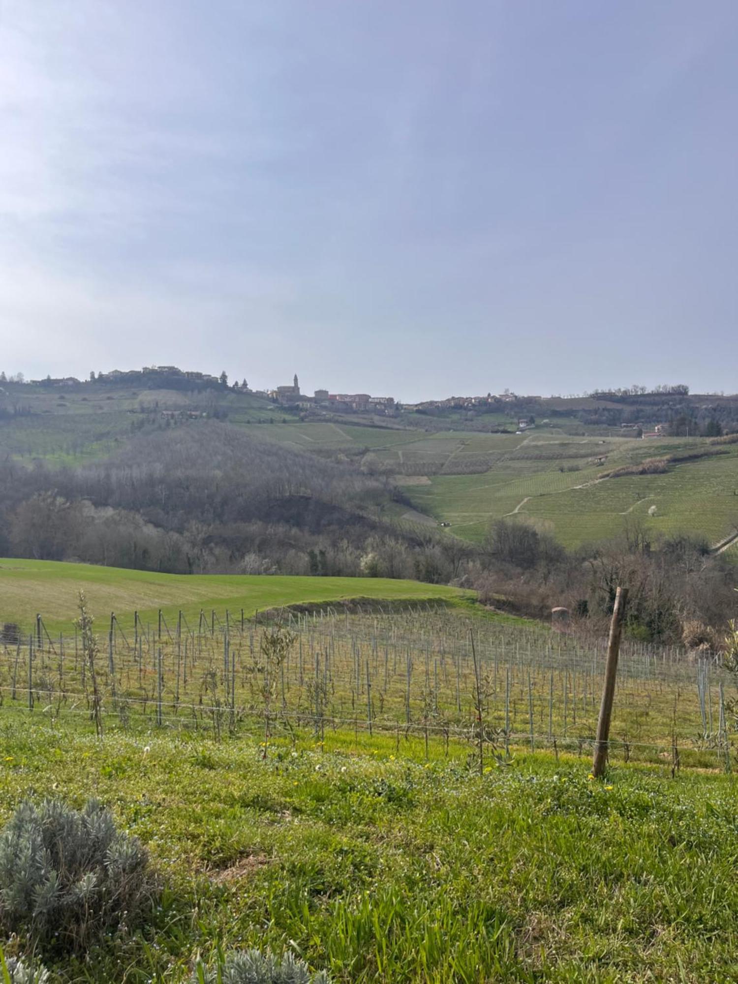 Le Cornici - Cascina Di Charme Hotel Diano dʼAlba Kültér fotó